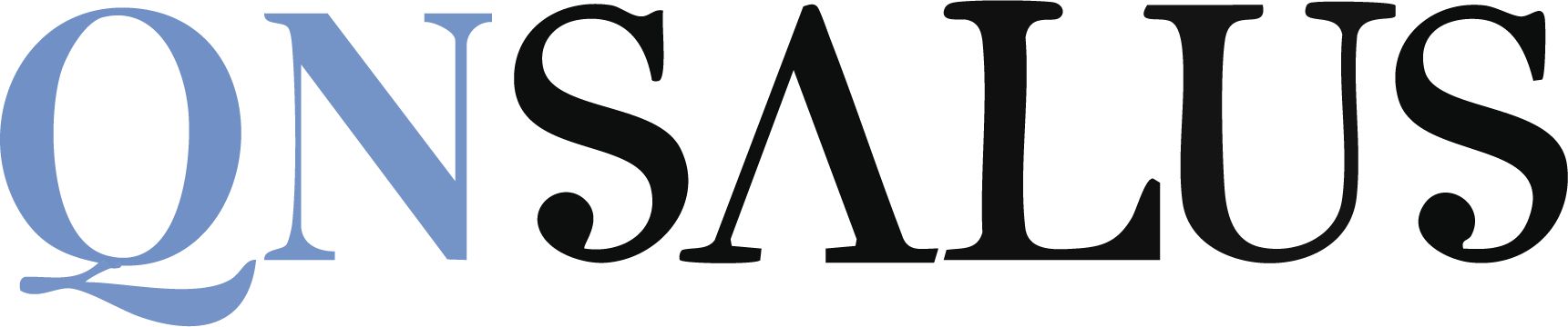 Logo QN Sales